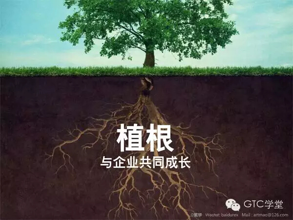 yuanmao-talking-develp-with-gome-18